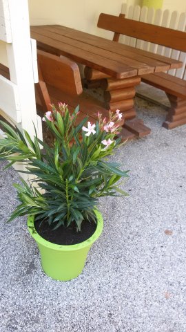 garten2015 1